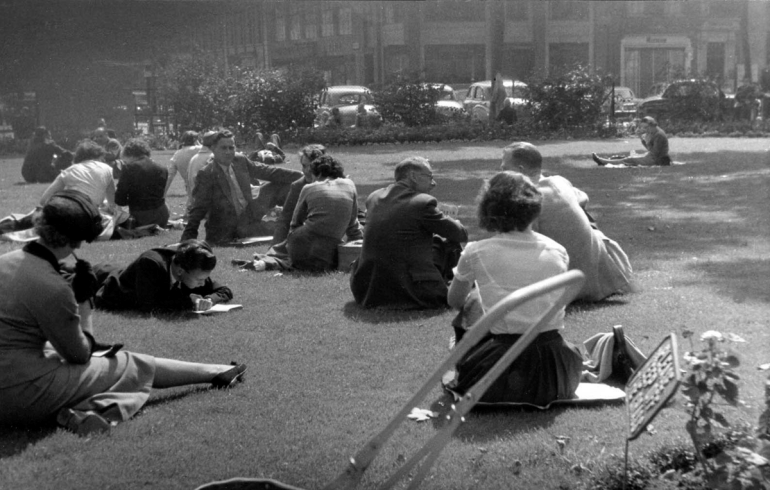 Grass-Lunchtime -55PNG