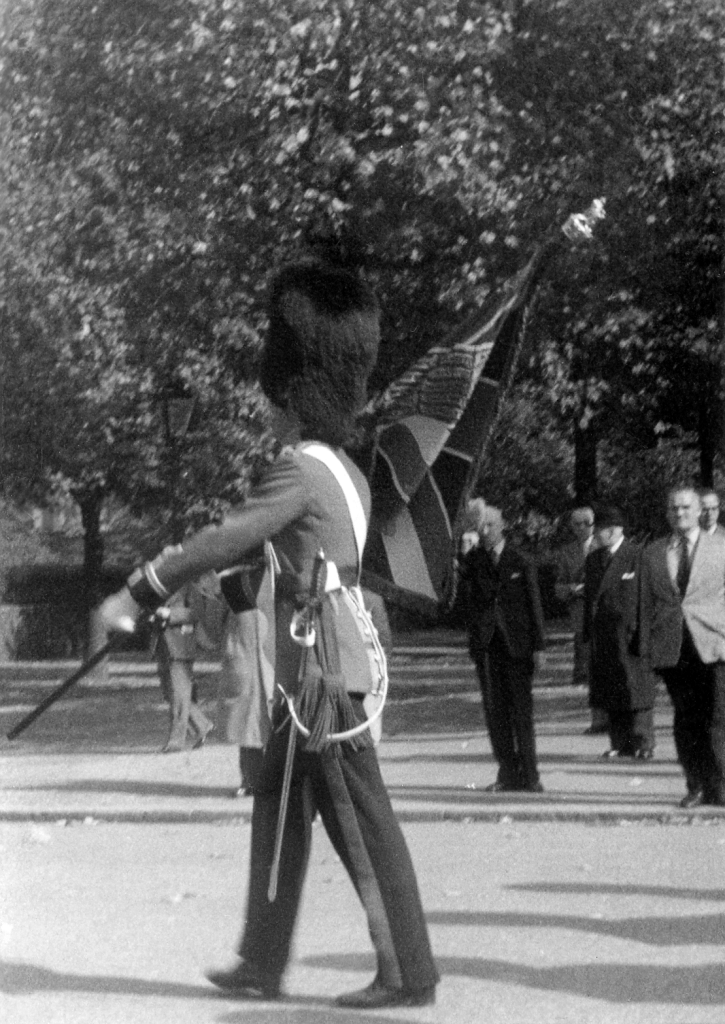 Guardsmen with flag51PNG