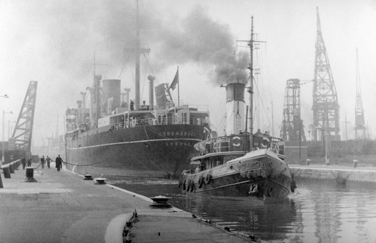 WD,ssCoromandel 2-116 PNG