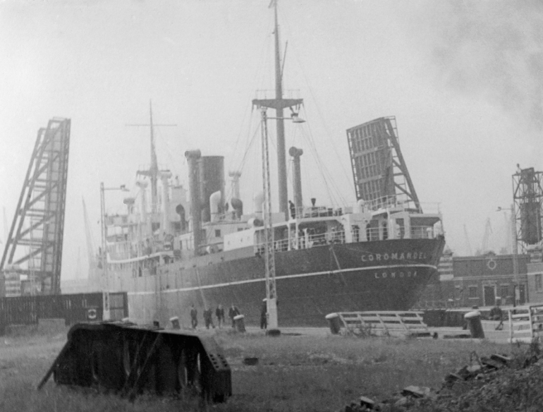 WD,ssCorromandel-116 PNG