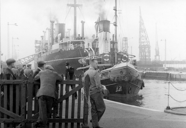 Wool Docks, Coromandel 2-116 PNG